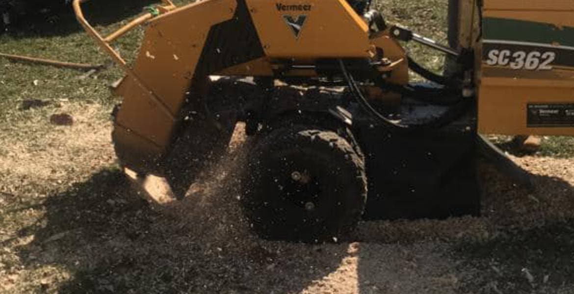 R&J Ozuna's Tree Service Co.