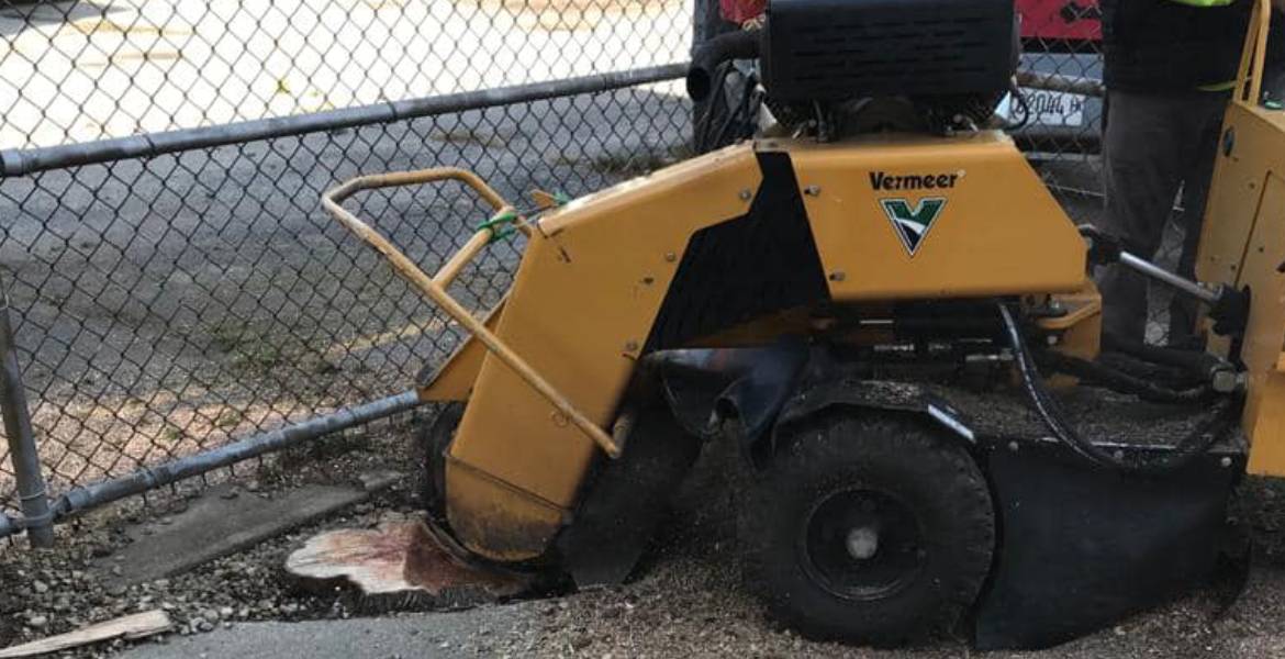 R&J Ozuna's Tree Service Co.