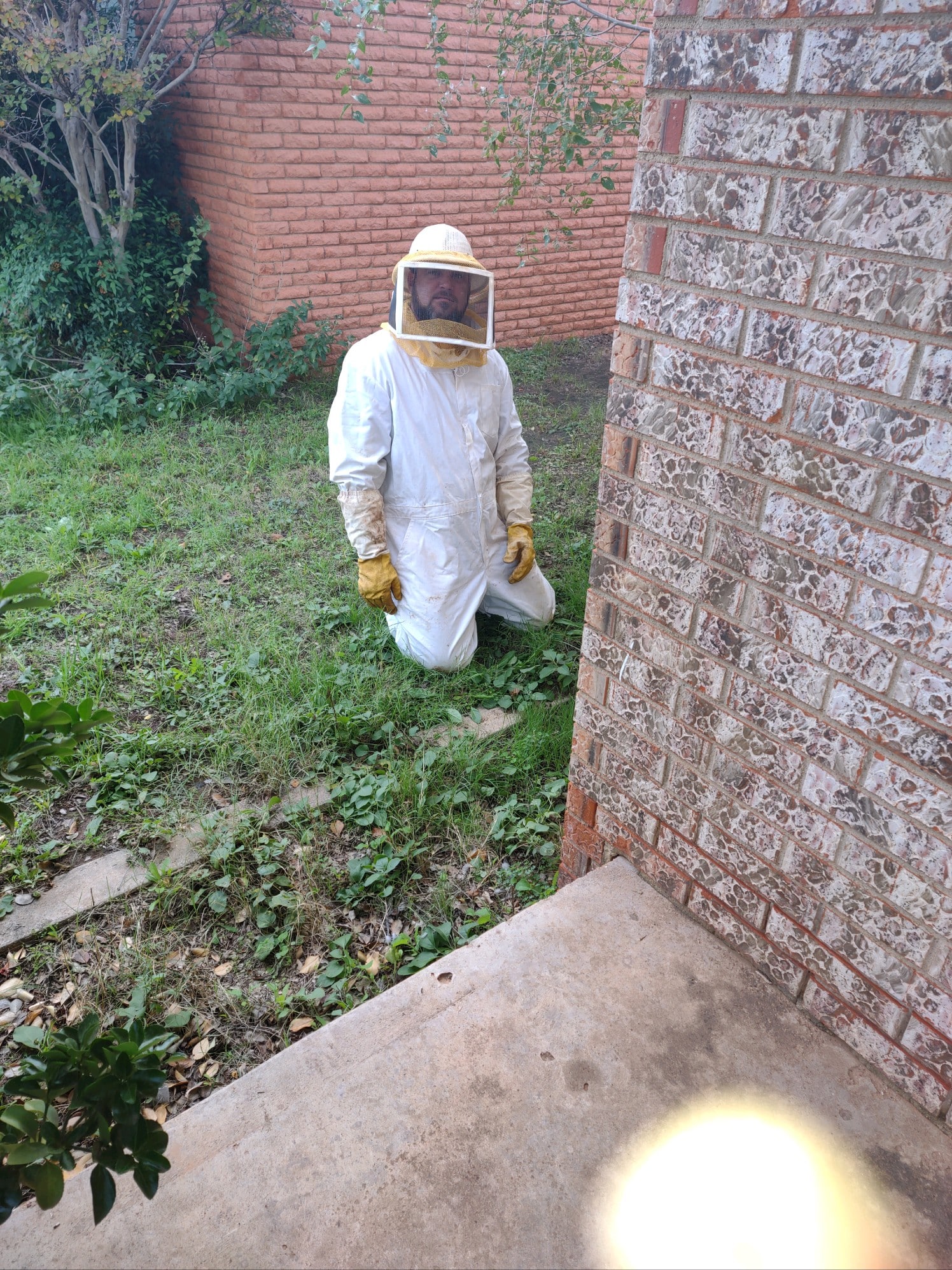 Bug Lady Pest Control Offers Flea Exterminations in Midland, TX 79706