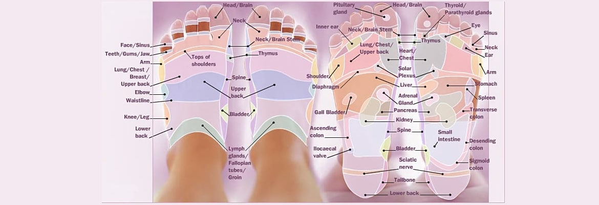 Aya Thai Massage and Wellness