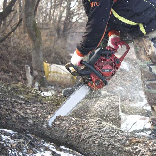 Tree Cutting