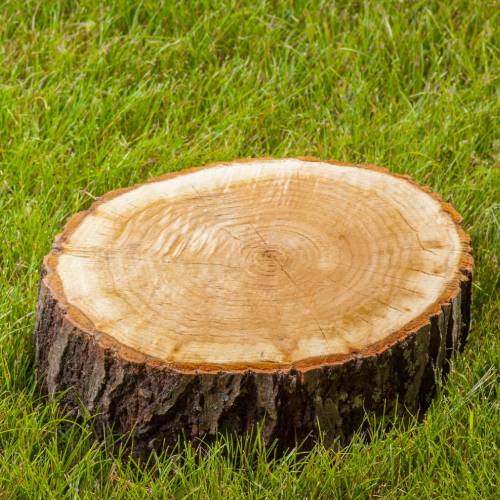 Stump Grinding