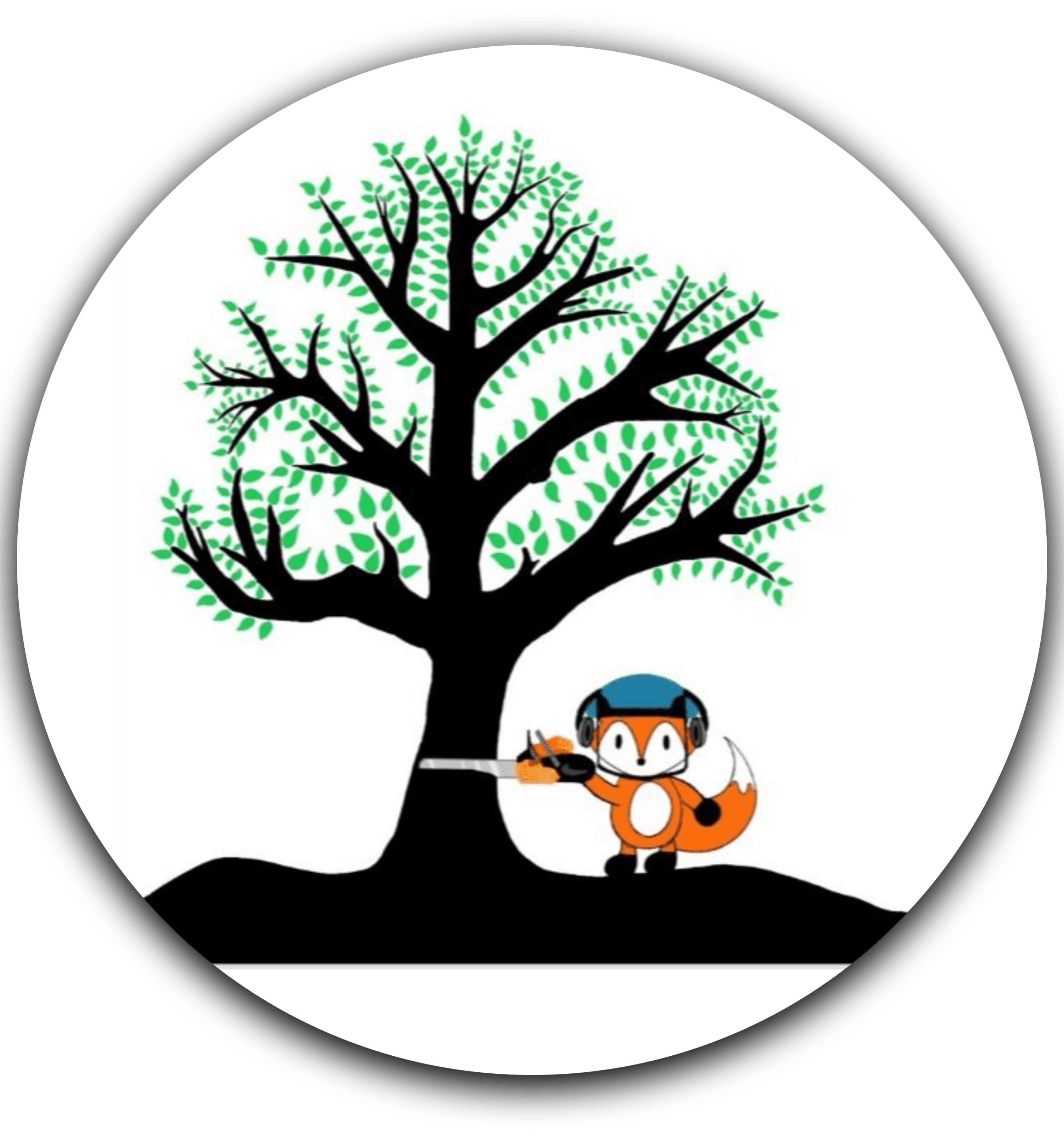 Martin Cruz Tree Service & Landscaping