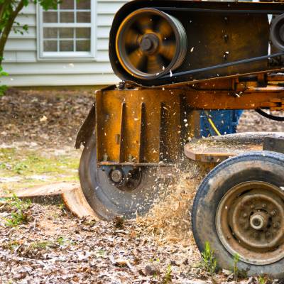 STUMP GRINDING