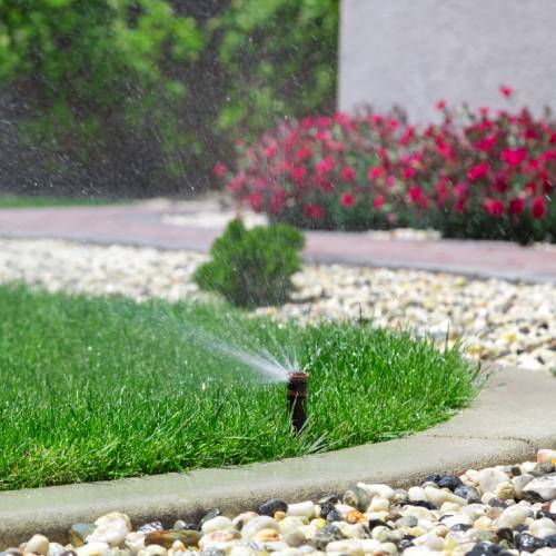 Irrigation System Installation