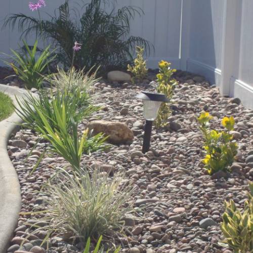 Rock Landscaping