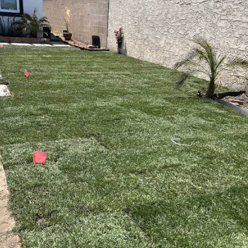 Lawn Maintenance