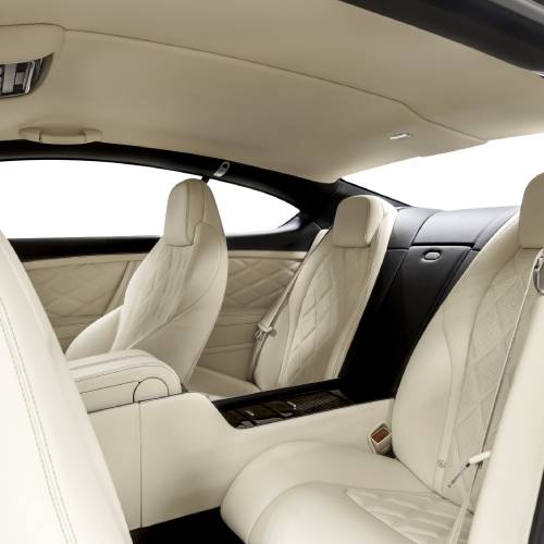 Interior Auto Detailing  