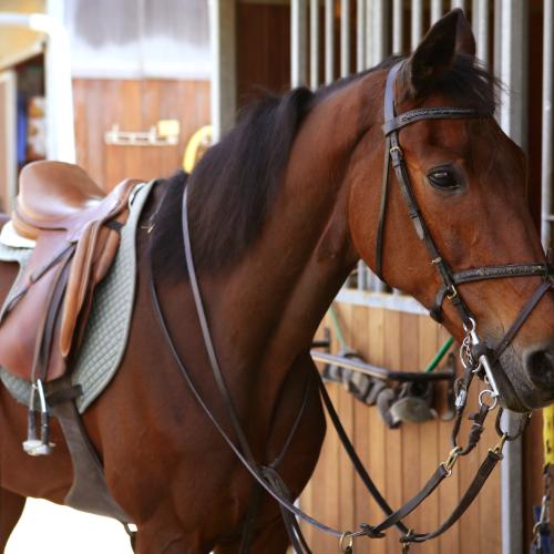 Stretching and Saddle Fitting