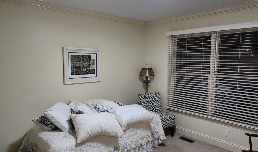 Pristine Pigments Professional Painting