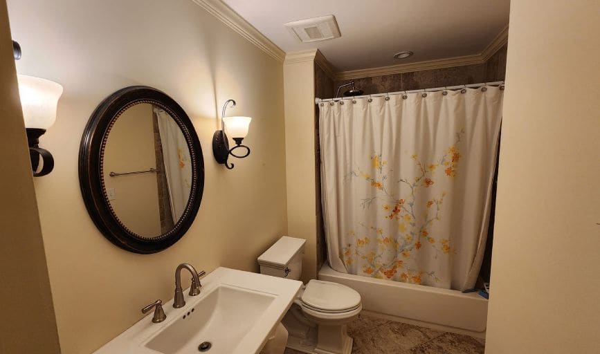 Pristine Pigments Professional Painting