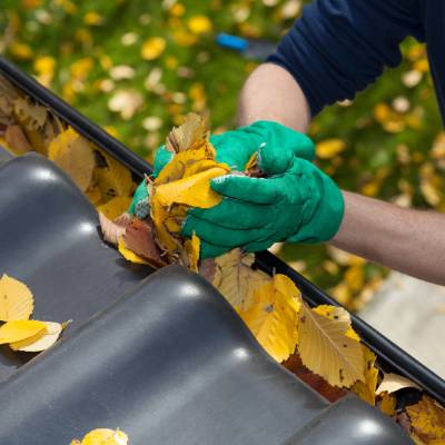 GUTTER CLEANING