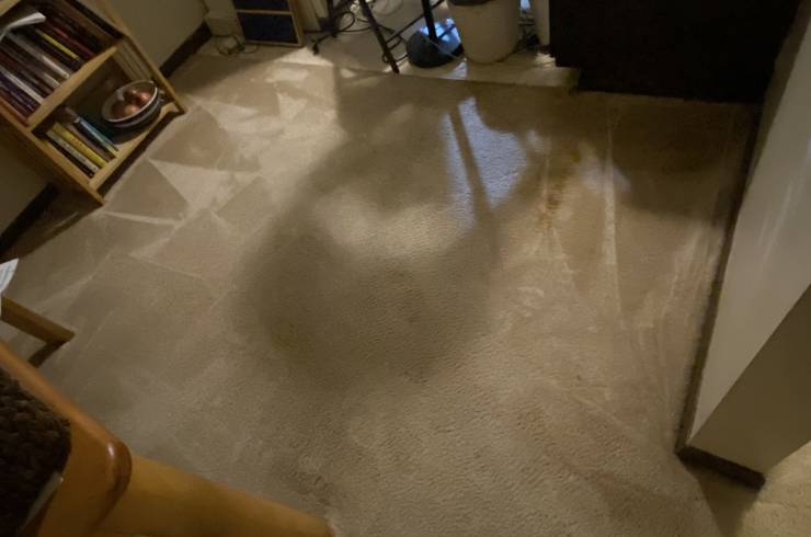 M&R Cleaning Services