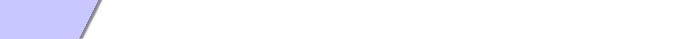 Lee's Chinese Martial Arts Federation
