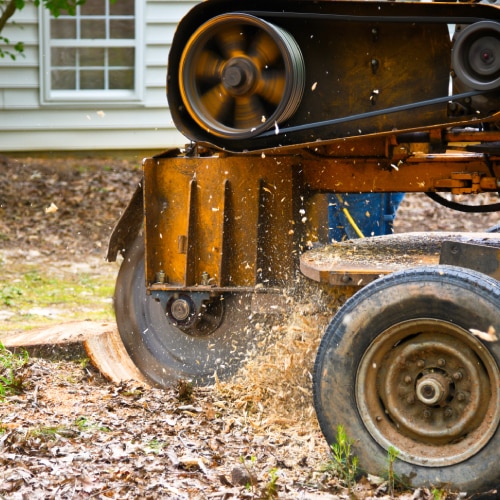 Stump Grinding