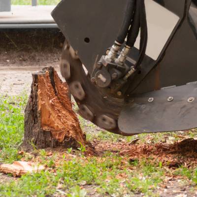 STUMP GRINDING