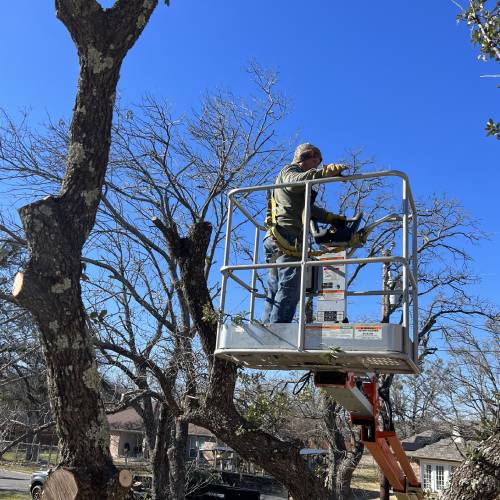 Tree Pruning 