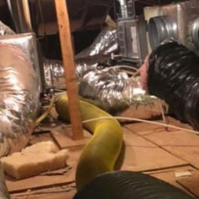 AIR DUCT CLEANING / SANITATION