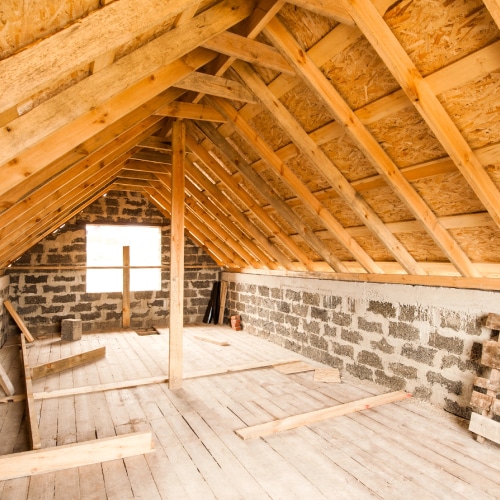 Attic Cleaning
