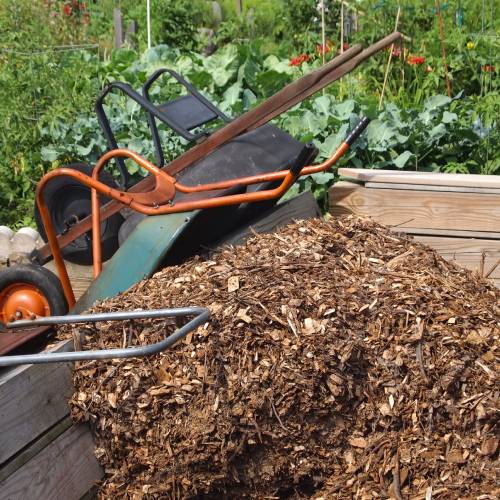 Mulching Service