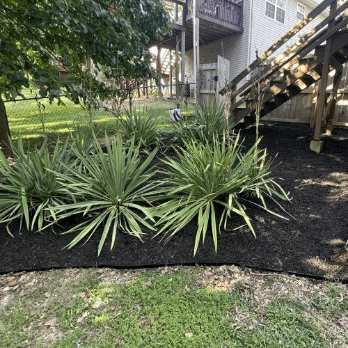 Landscaping Services