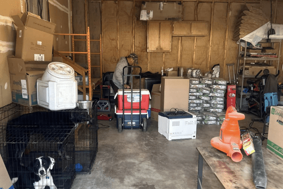 JD Professional Movers 