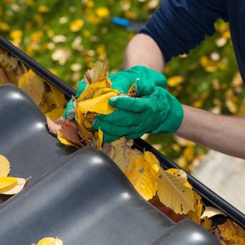 Gutter Cleaning