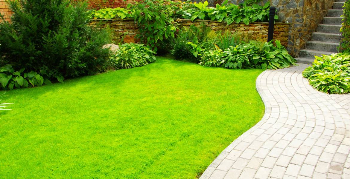 E. Lewis Services LLC 