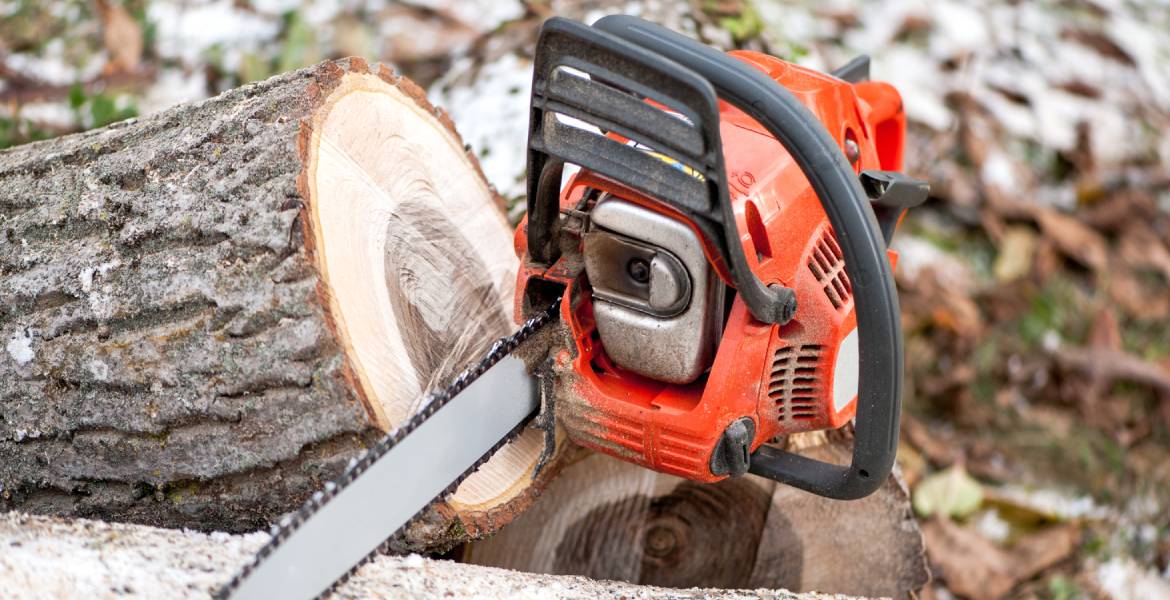 E. Lewis Services LLC 