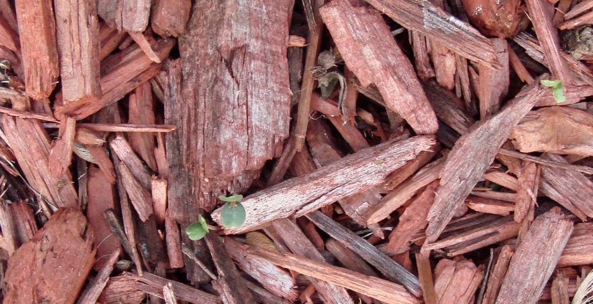 E. Lewis Services LLC 