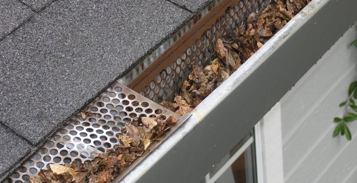 E. Lewis Services LLC 