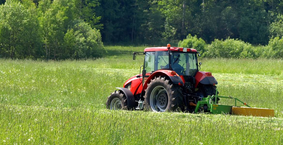 E. Lewis Services LLC 