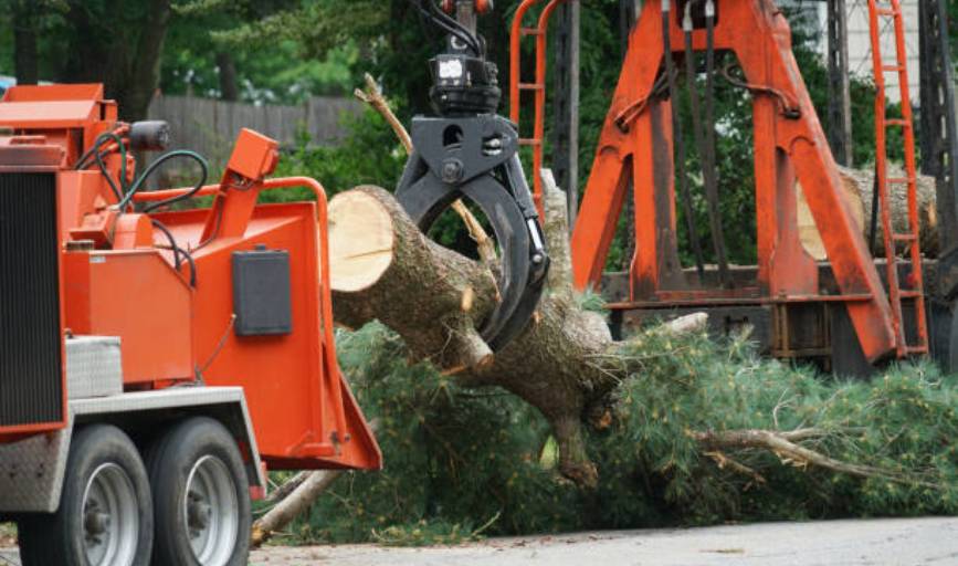 Krause Tree Service