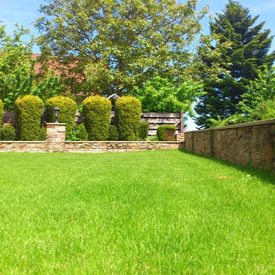 Lawn Care