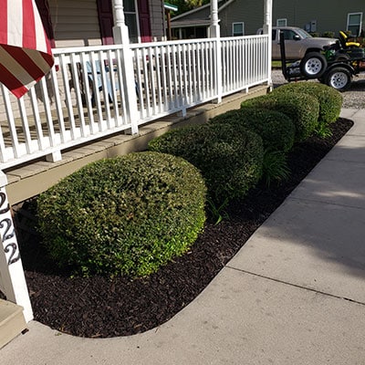 Landscaping