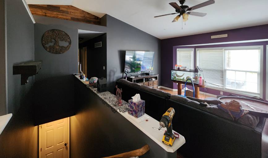 Pristine Pigments Professional Painting