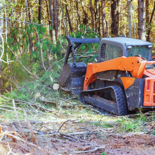 Forestry Mulching