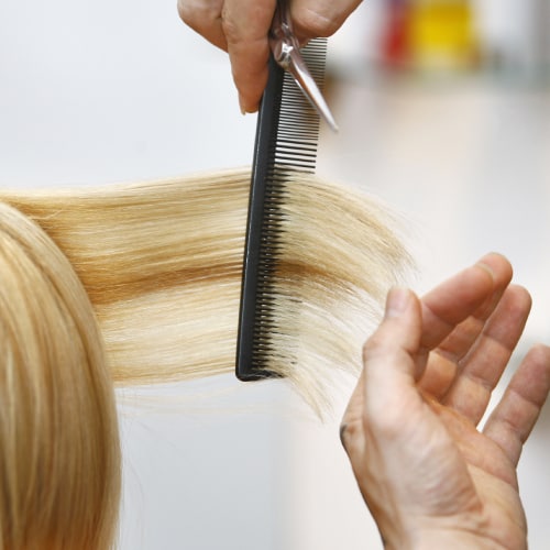 Women's Haircuts