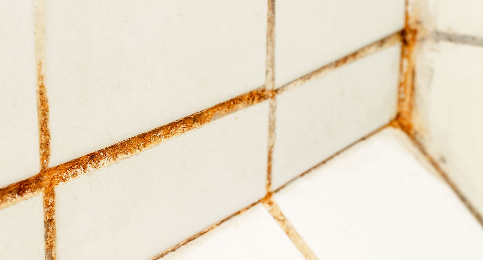 Grout Cleaning