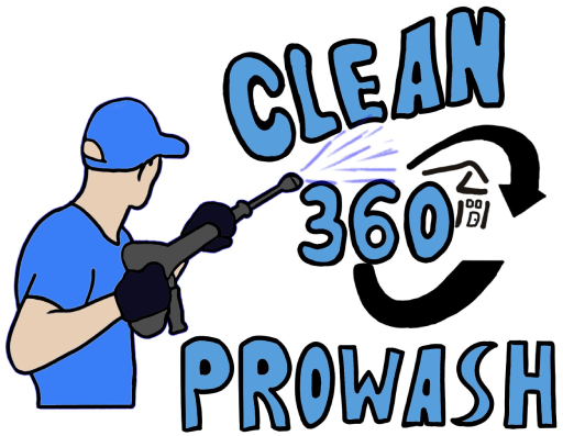 Clean 360 Prowash