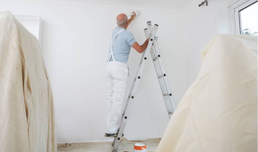 Maximus Handyman Services