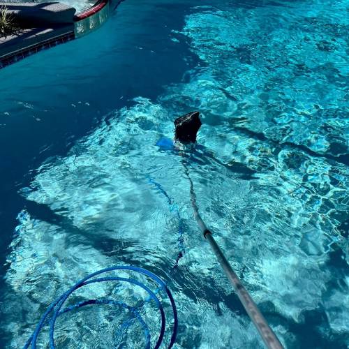 Pool Maintenance