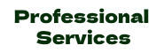 Professional Services