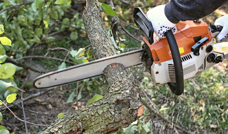 Professional Services