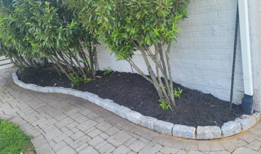 Professional Services