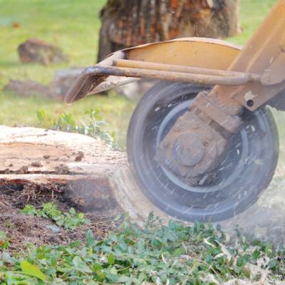 STUMP GRINDING