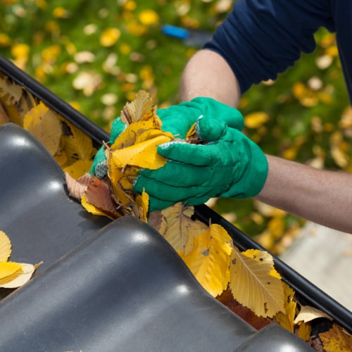 Gutter Cleaning