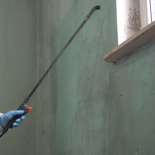 Disinfecting Services