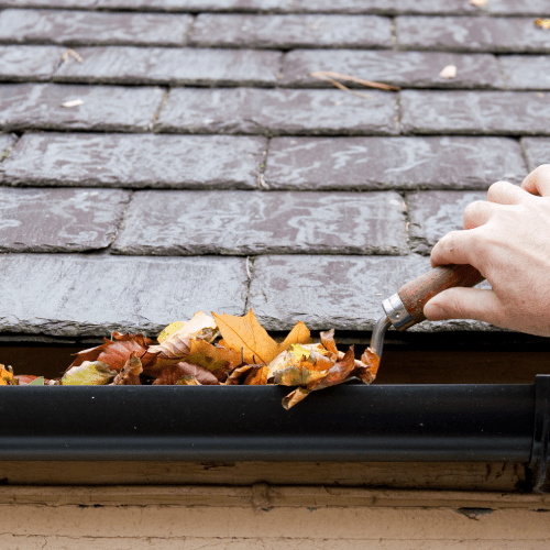 Gutter Cleaning