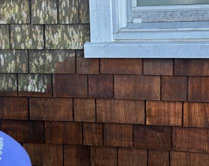 PRESSURE WASHING SERVICES